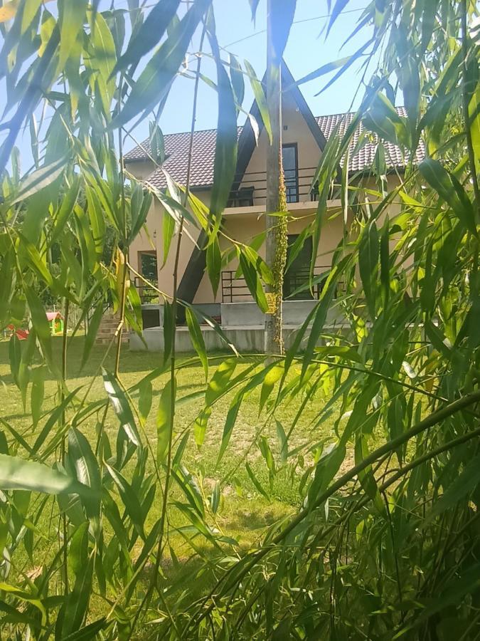 Casa Colt De Rai Daire Ogradina Dış mekan fotoğraf